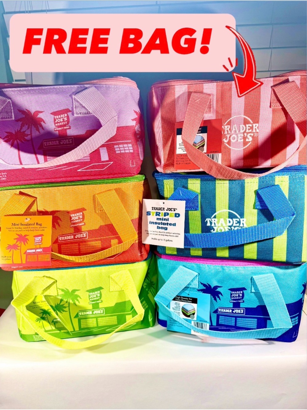 NWT Trader Joe's Insulated Mini Tote Bag Lunch Coolers Striped Pink Green Blue